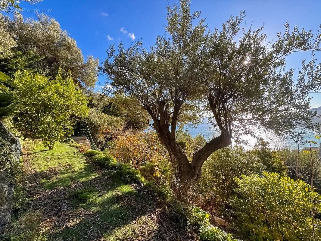 Appartement à ROQUEBRUNE-CAP-MARTIN