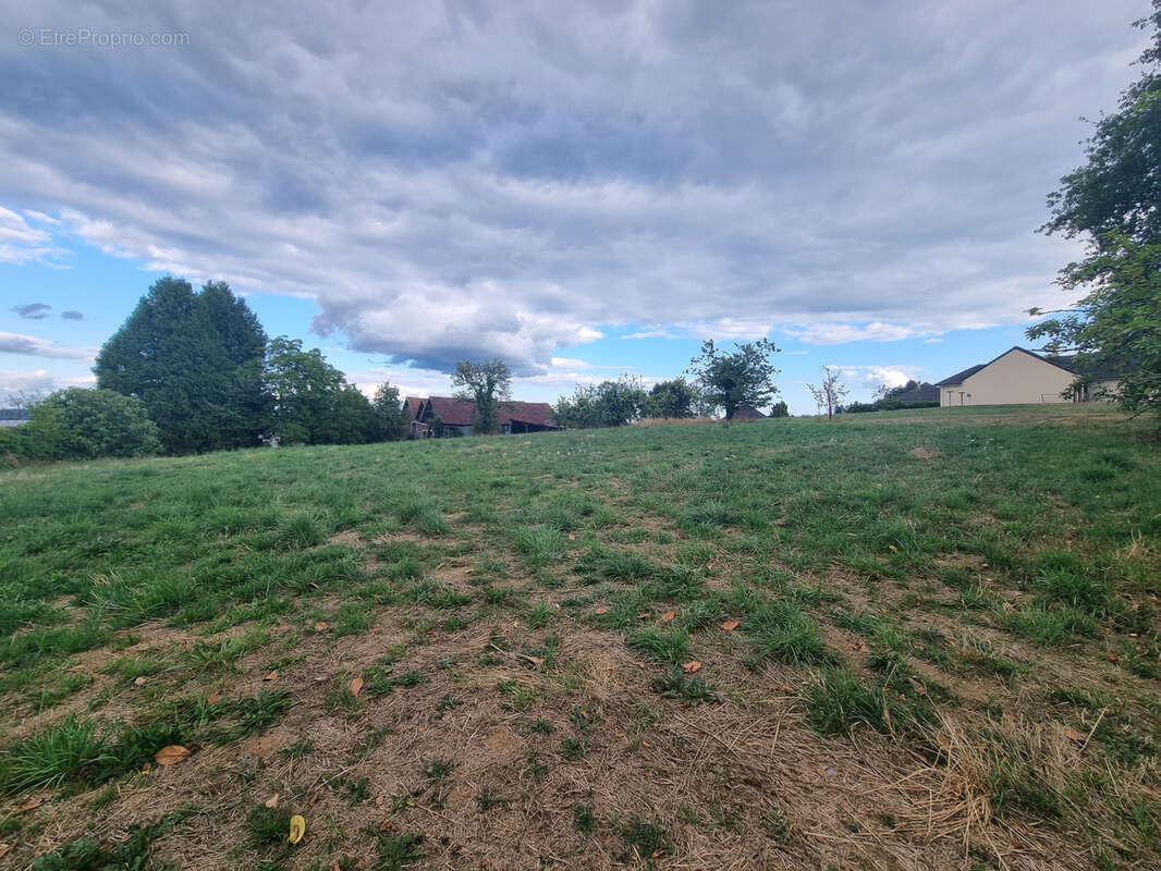 Terrain à NAVES