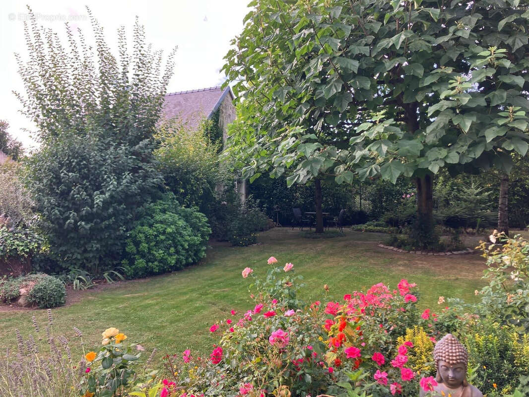 Maison à VILLERS-COTTERETS