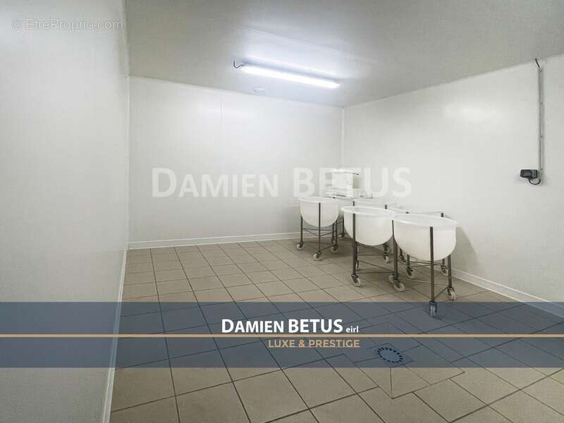 Maison à THOUARSAIS-BOUILDROUX