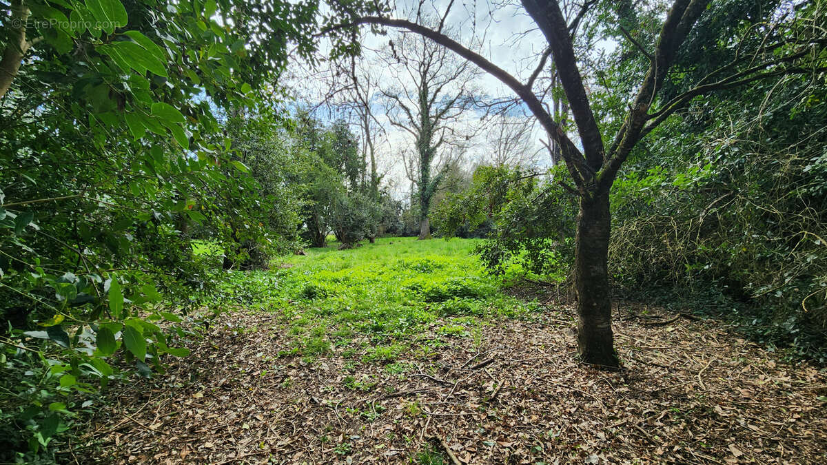 Maison à LUGON-ET-L&#039;ILE-DU-CARNAY