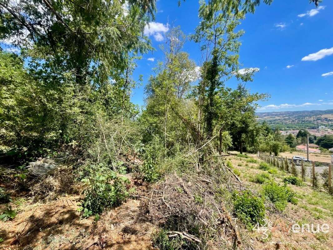 Terrain 1212 m² à Bas-En-Basset  - photo 4