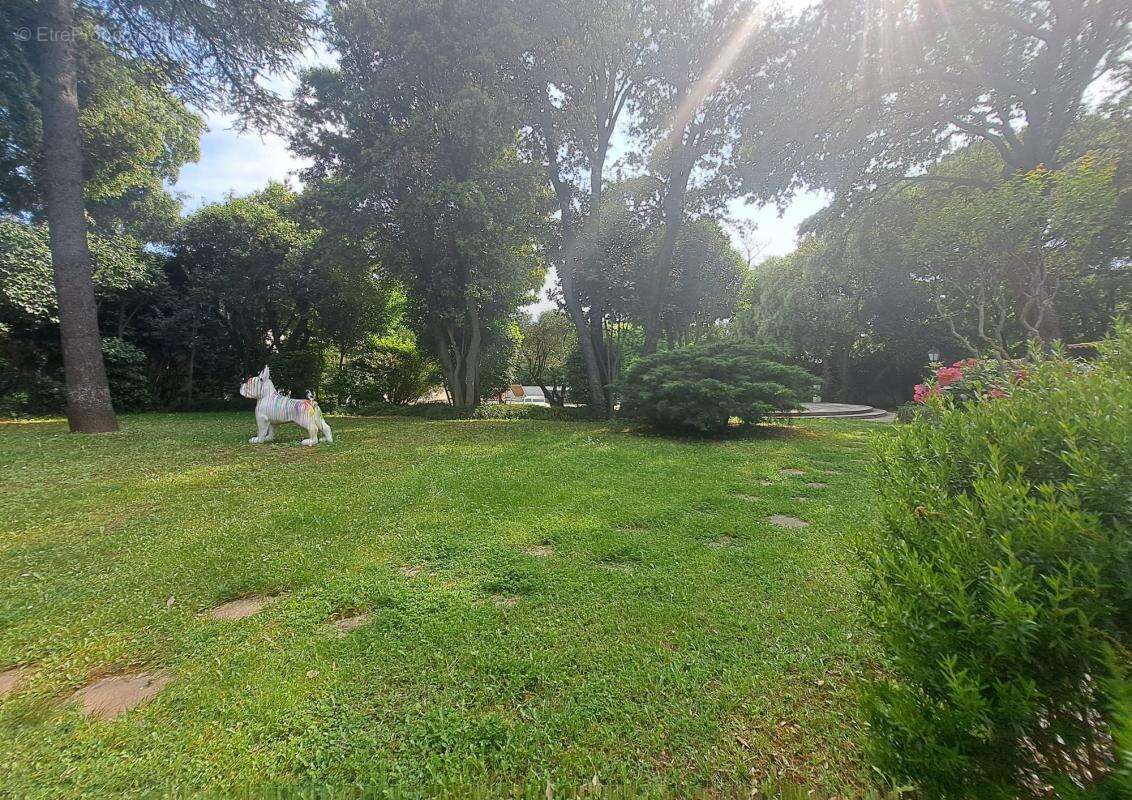 Maison à SAINT-JEAN-DE-VEDAS