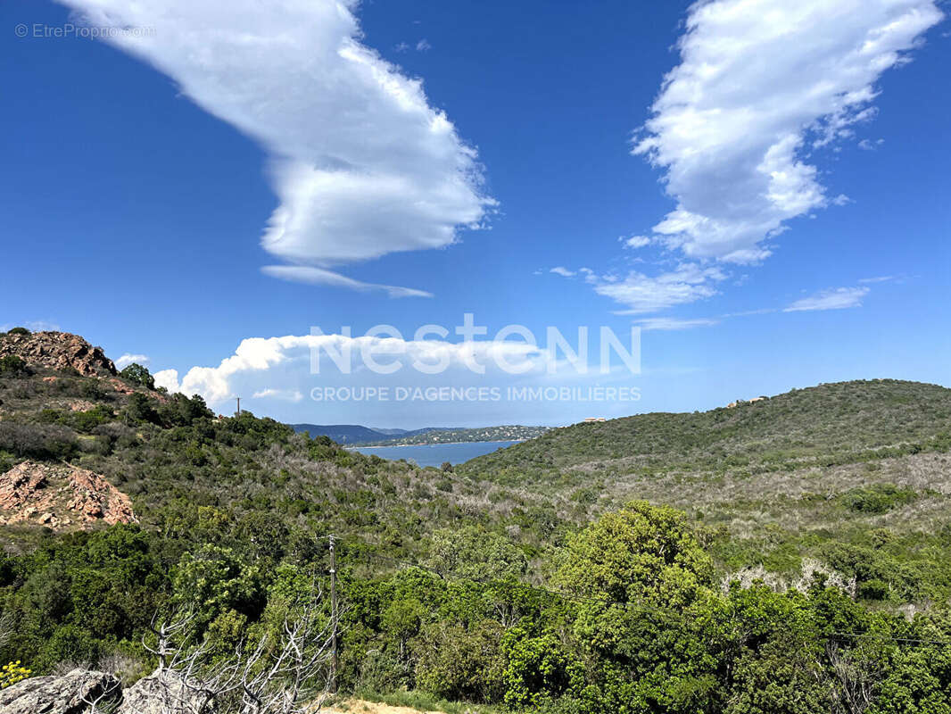 Terrain à PORTO-VECCHIO