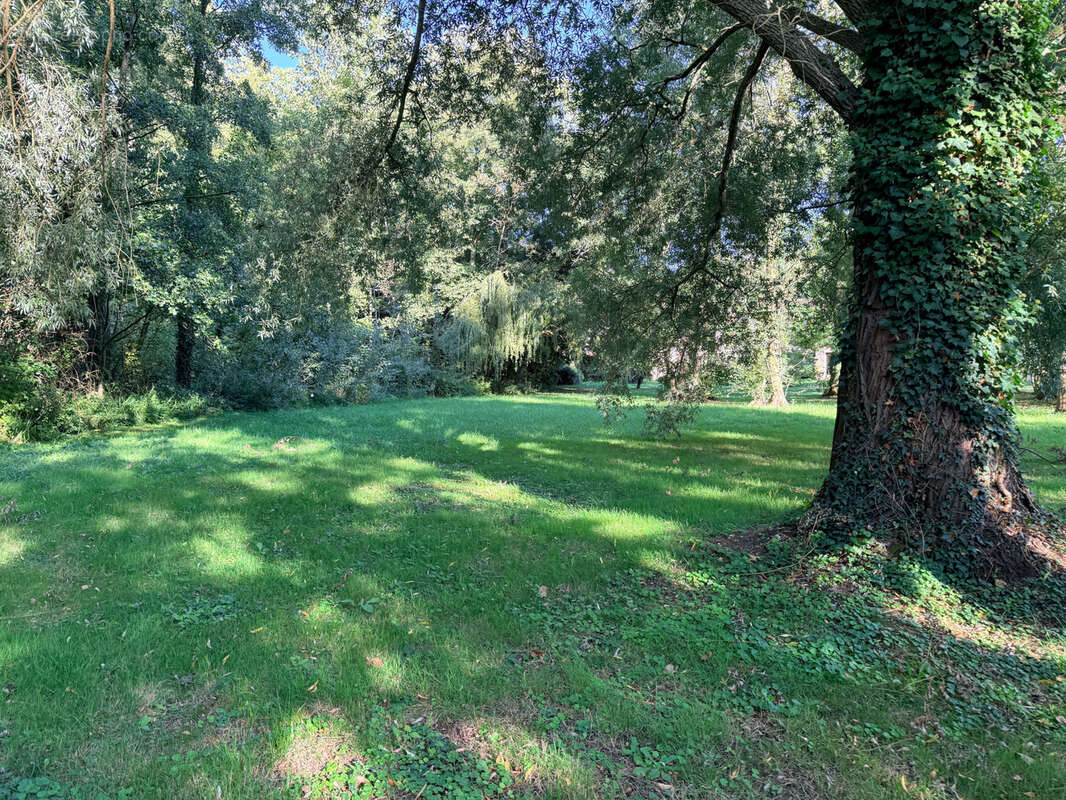 Maison à FERREUX-QUINCEY