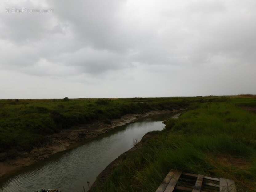 Commerce à DOLUS-D'OLERON