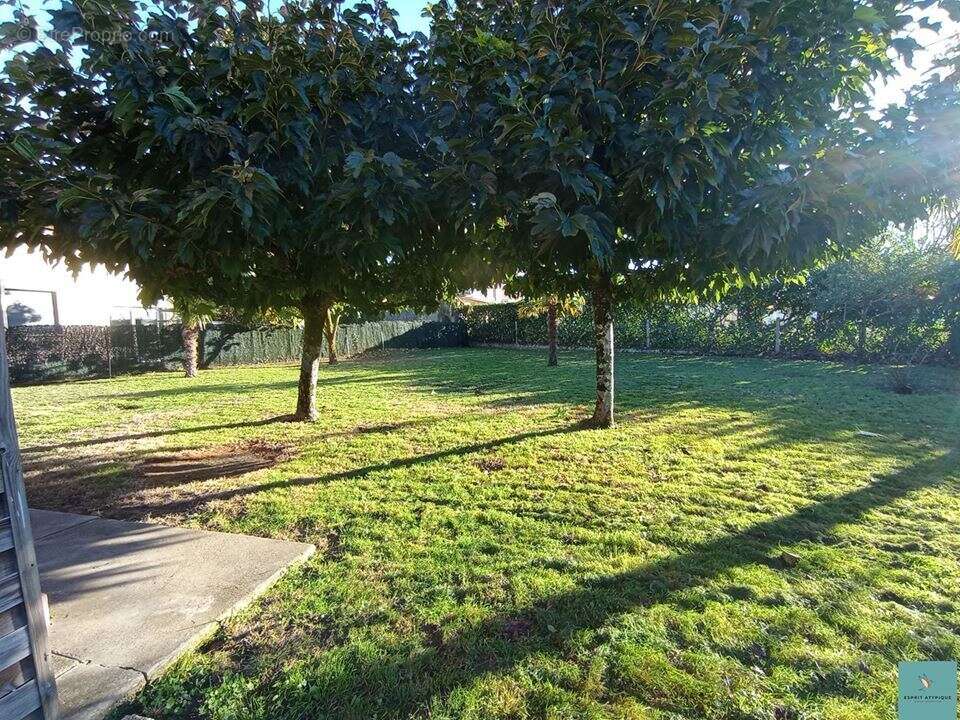 Maison à MONT-DE-MARSAN