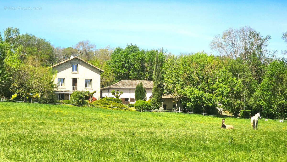 Grande maison, piscine et granges - photo 11