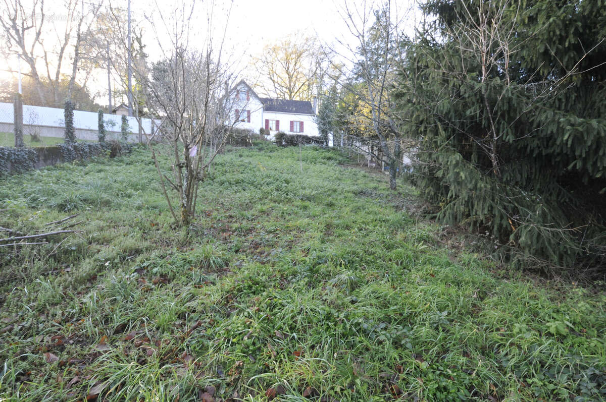 Terrain à VICQ-SUR-BREUILH