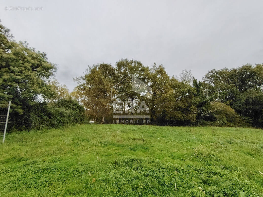 Terrain à SAINTE-MARIE-DE-GOSSE