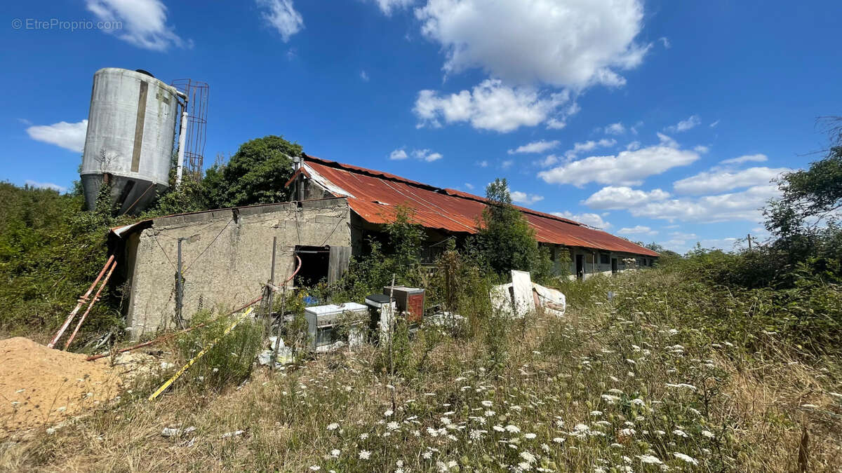 Terrain à SAINT-CHRISTOPHE-DU-LIGNERON