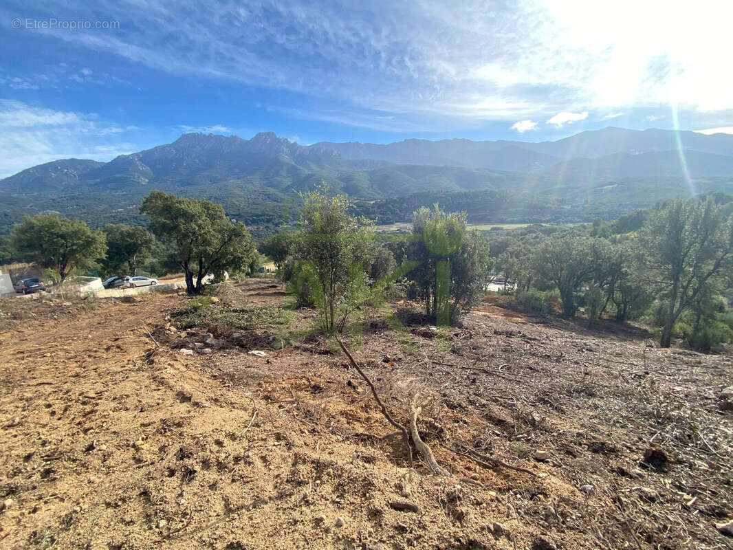 Terrain 5446 m² à Tavaco  - photo 6