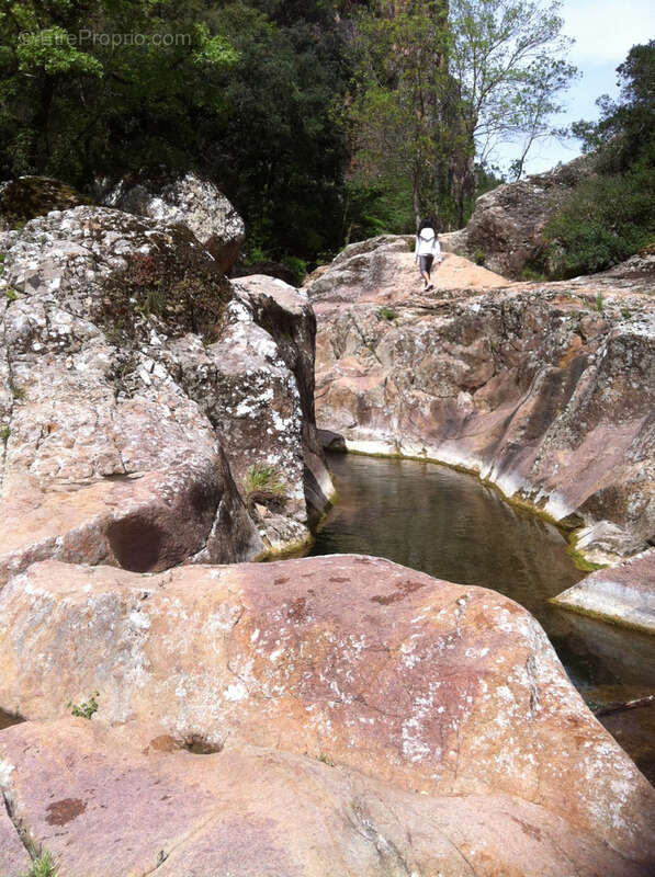 Maison à BAGNOLS-EN-FORET