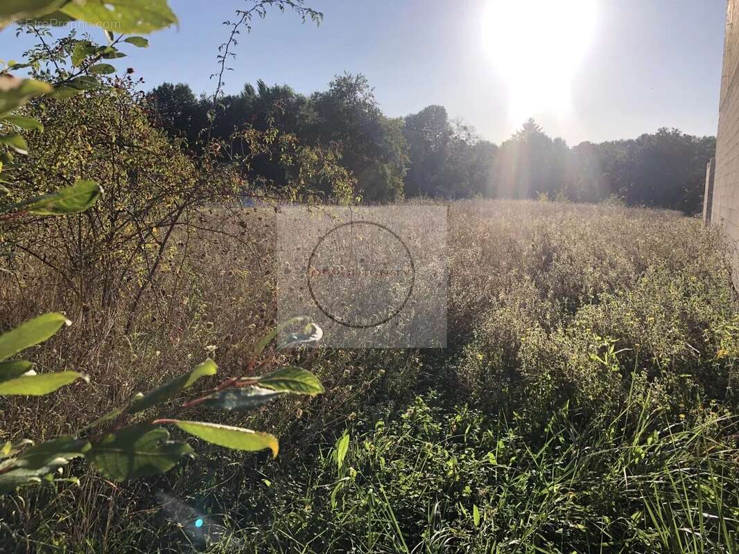 Terrain à LA FERTE-GAUCHER