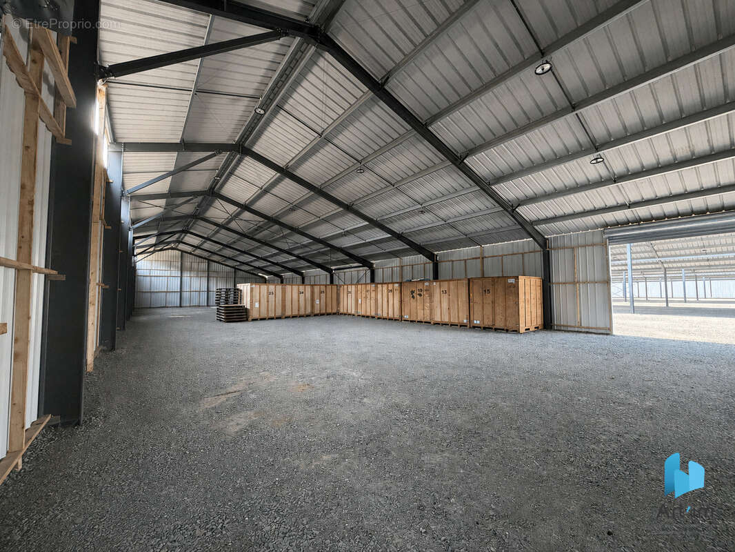 3825m2 A VENDRE SUR 14681m2 - photo 5