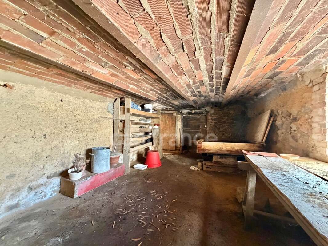 Maison de bourg de 100 m2, 3 chambres, terrain attenant de 371 m2 + 2450 m2 indépendant, 200 m2 de dépendances, caves, fibre opt - photo 22