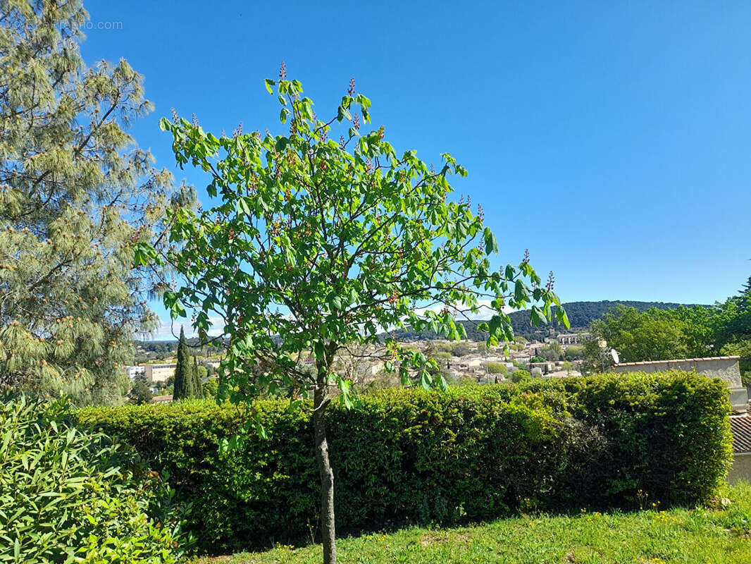 Lorgues, Au calme charmant studio avec jardinet , terrasse et vue dégagée. - photo 16