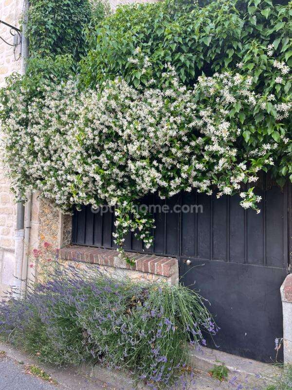 AUVERS-SUR-OISE, VAL D’OISE (95) : Maison de charme - 104 m² habitables (129 m² au sol) – 5 pièces principales - fraîche cave tr - photo 17