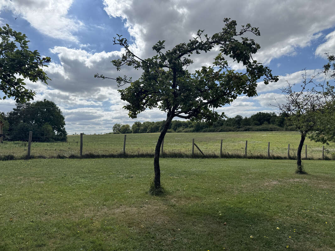 Maison à CHATEAU-RENARD