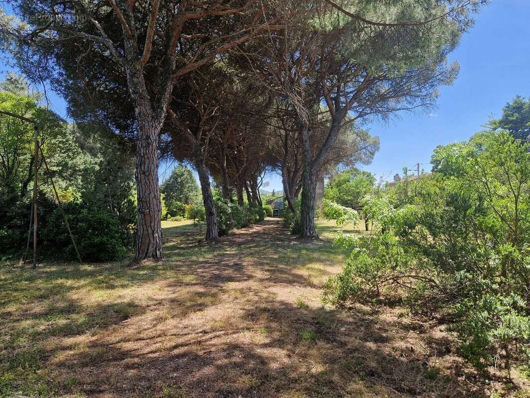 Maison à LE BOUSQUET-D&#039;ORB