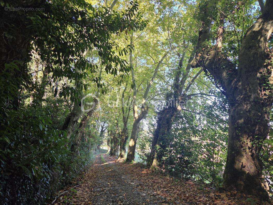 Appartement à NAVARRENX