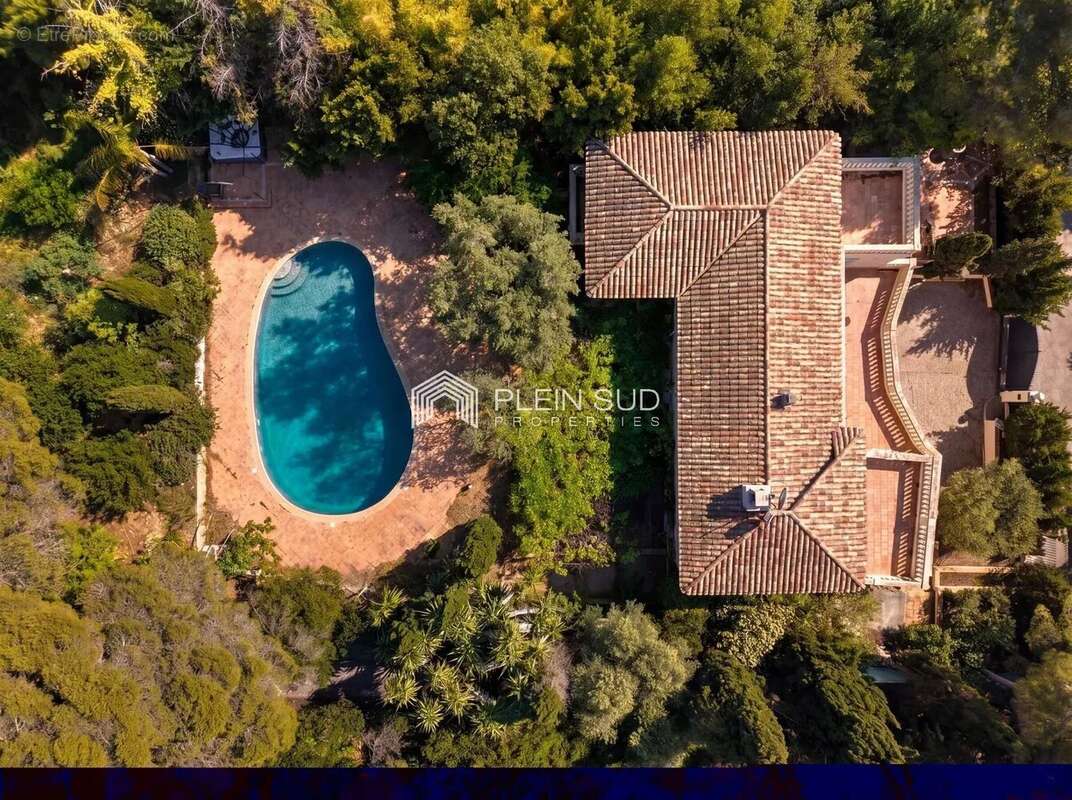 Saint Jean Cap Ferrat, emplacement exceptionnel ! - photo 3