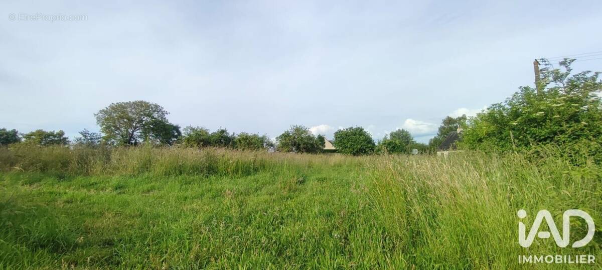 Photo 1 - Terrain à VAINS