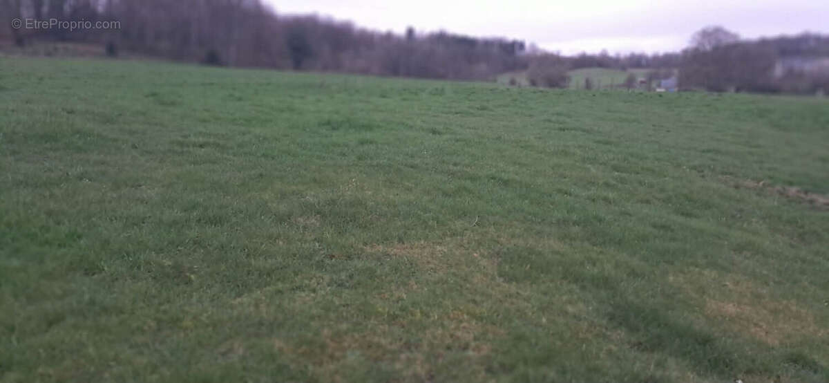 Terrain à GERNELLE