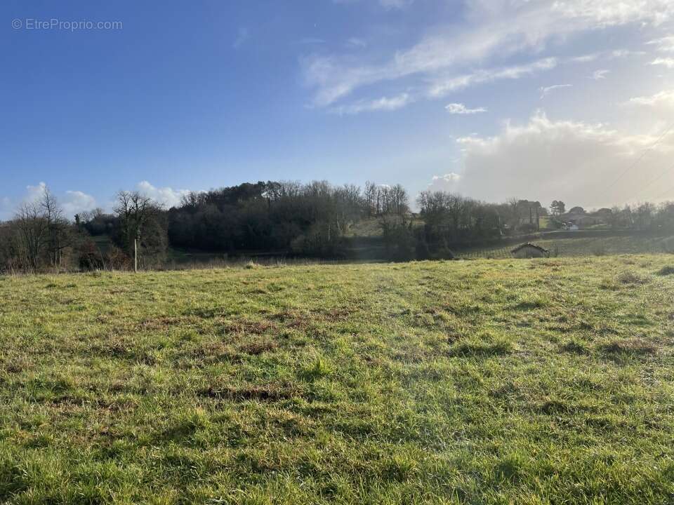 Terrain à SAINT-CIERS-DE-CANESSE