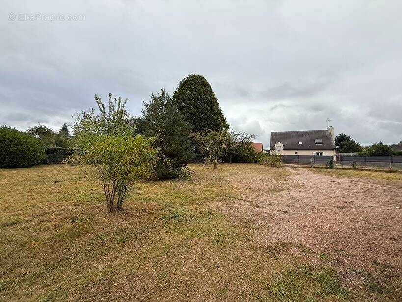 Terrain à LES AUTHIEUX-SUR-LE-PORT-SAINT-OUEN