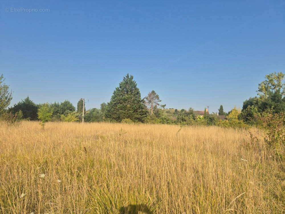 Terrain à RABASTENS