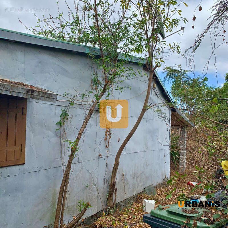 Terrain à LE TAMPON