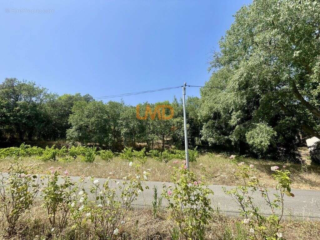 Terrain à CESSENON-SUR-ORB