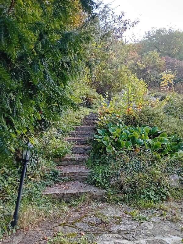 Photo 8 - Maison à ANET