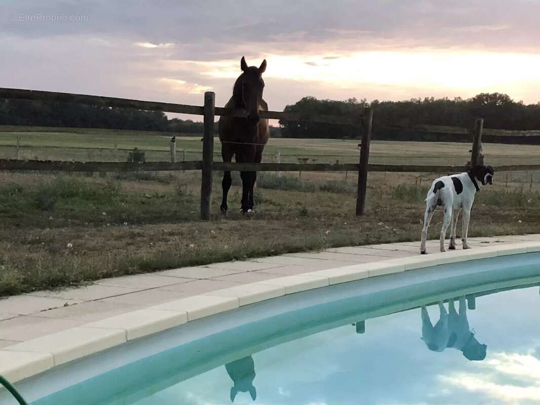 Maison à SAINT-SAVIN