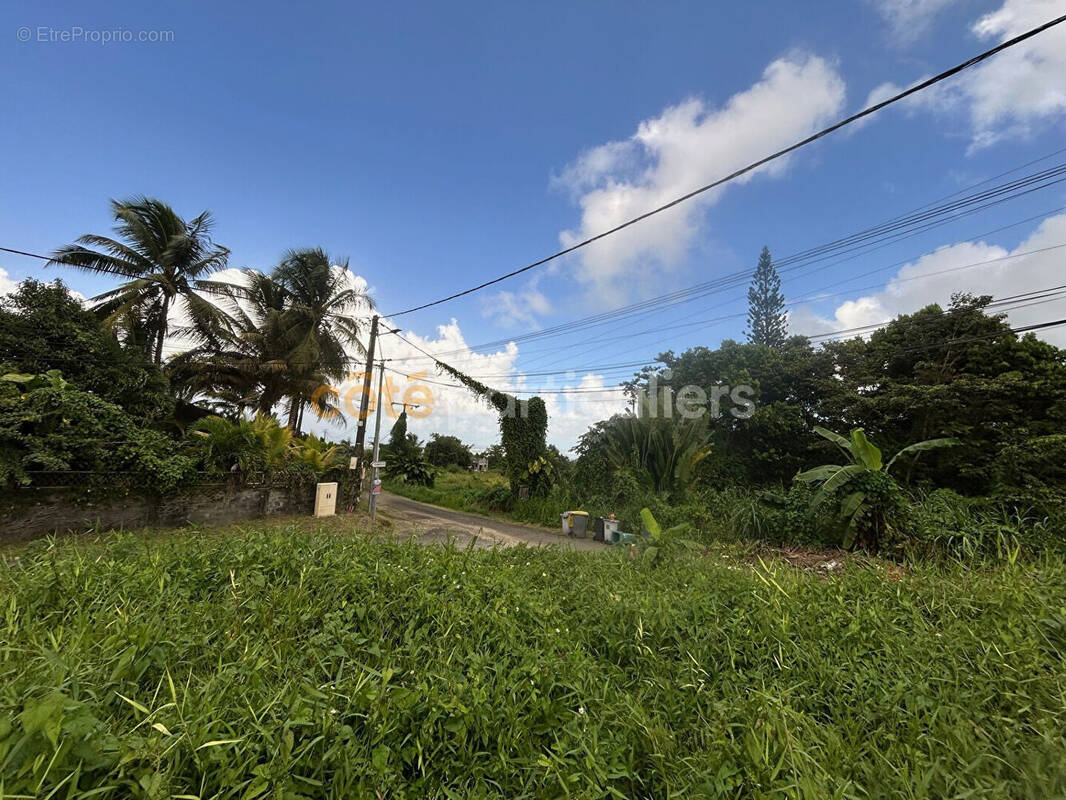 Terrain à PETIT-BOURG