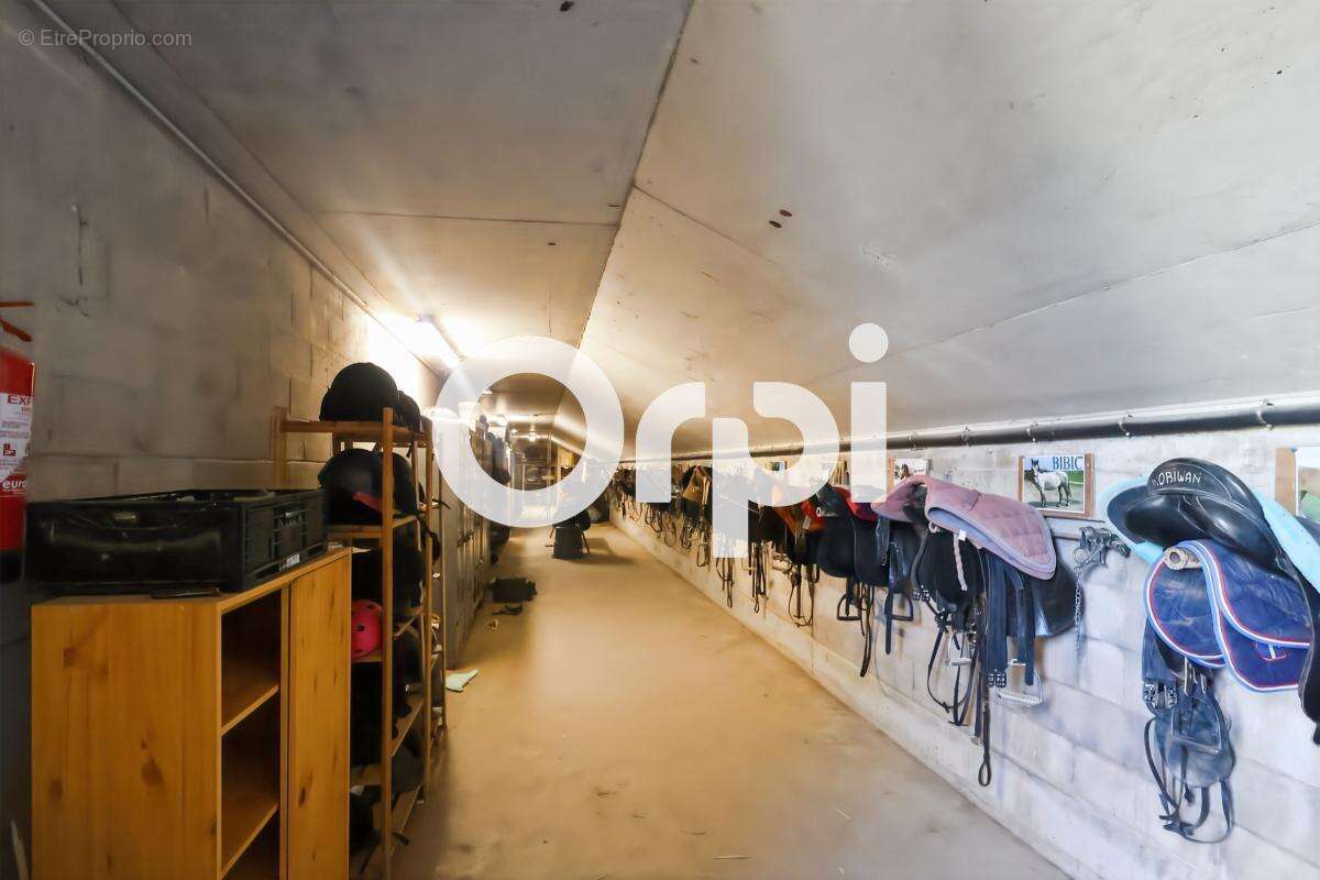 Domaine équestre de 5,5 hectares avec infrastructures de qualité à Cappelle-la-Grande - photo 7