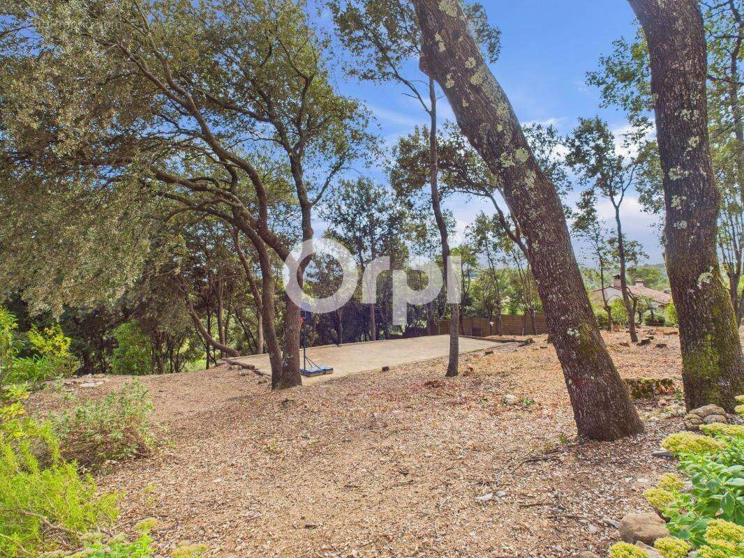 Maison à MONTAUROUX