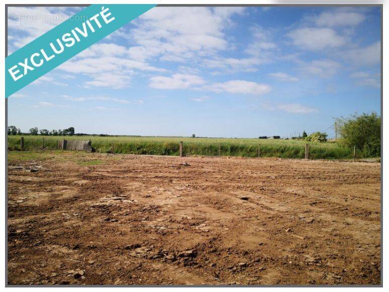 Terrain à CHAMPAGNE-LES-MARAIS