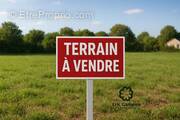 Terrain à MONTESSON