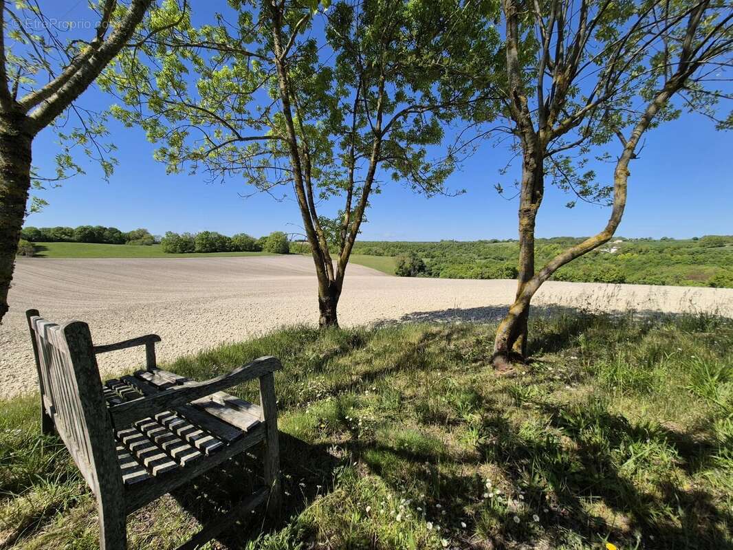 Deux maisons en pierre de caractère avec piscine, dépendances et 1,2 hectare de terrain près de Montaigu-de-Quercy - photo 18