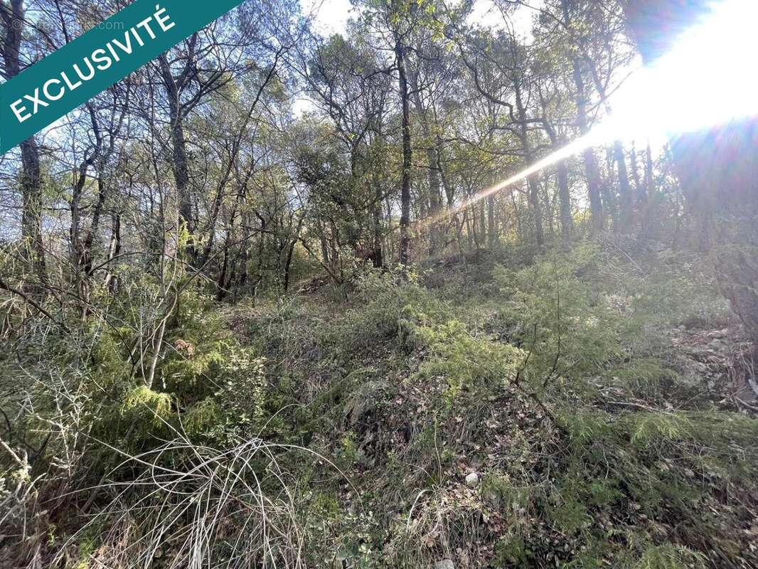Photo 2 - Terrain à CHATEAUDOUBLE