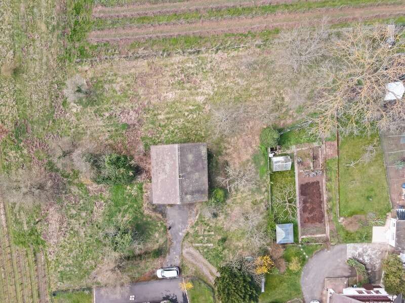 Terrain à CHATENOIS