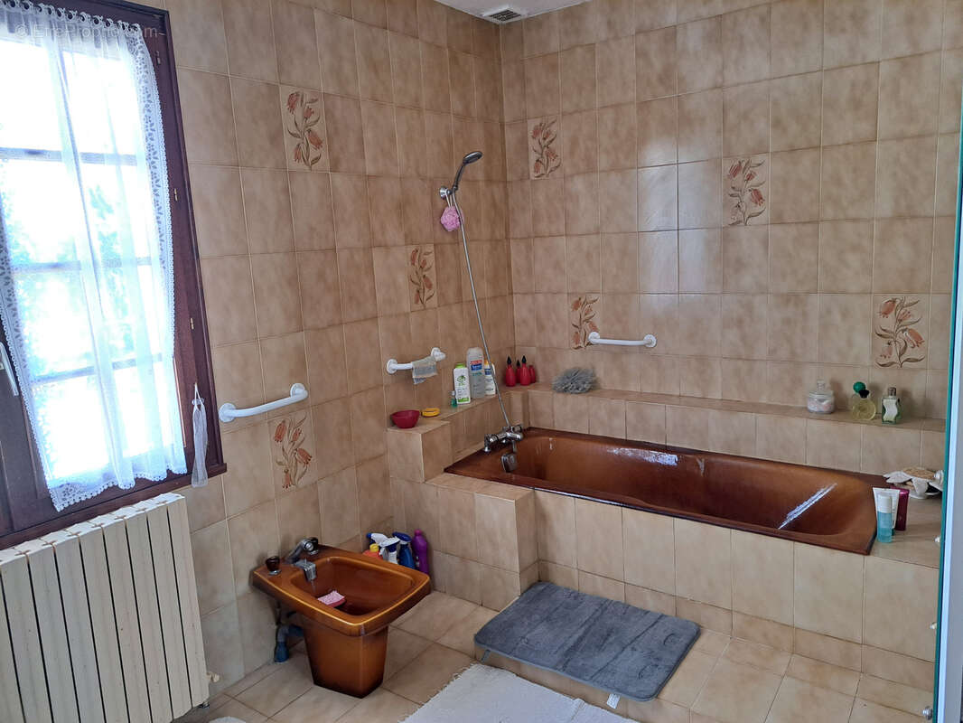 Grande maison sur un terrain de 15 780m2 avec une piscine et un garage de 52m2 - photo 26