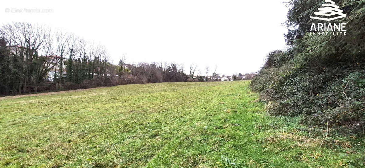 Terrain à viabiliser- 2500 m2 constructible - vente en 1 lot - photo 11