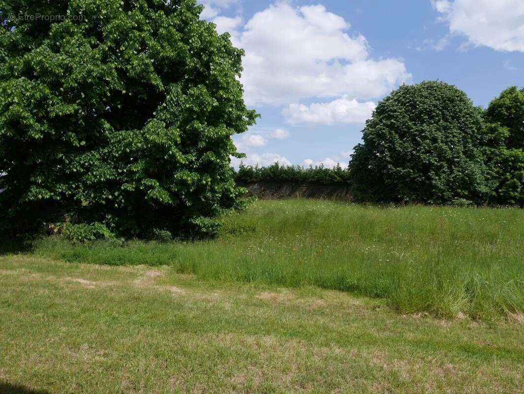 Maison à vendre | Arblade Le Haut | Gers - Maison à ARBLADE-LE-HAUT