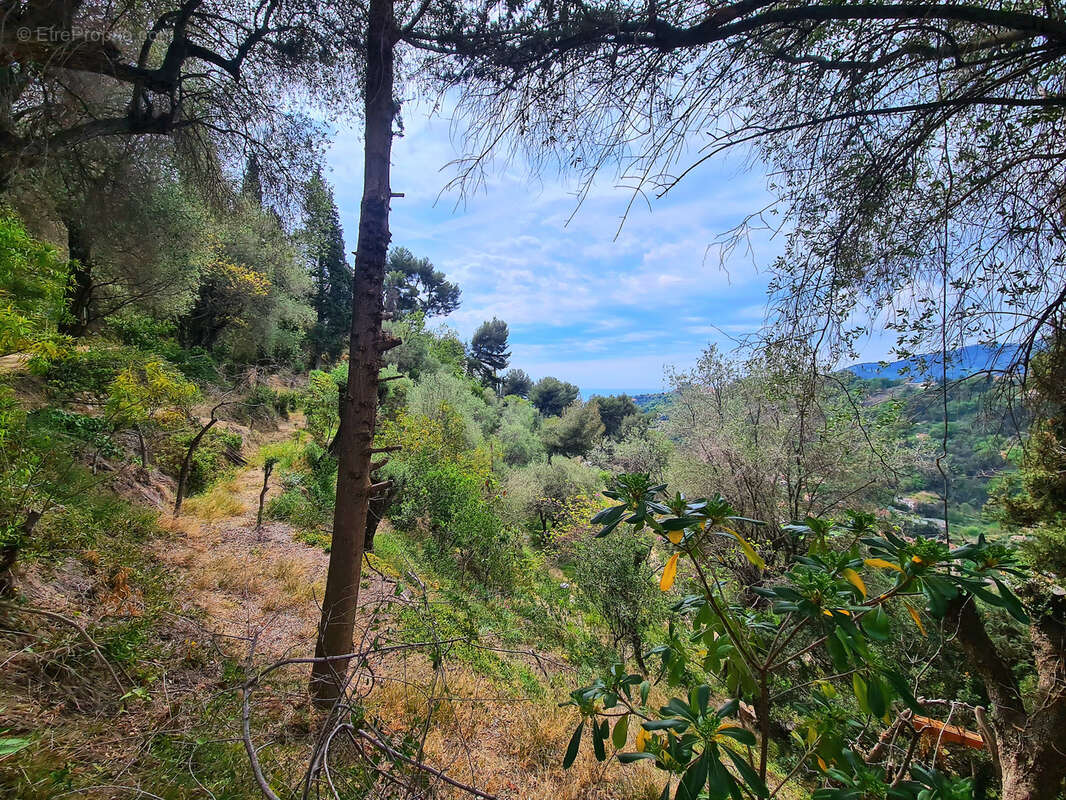 Terrain à MENTON