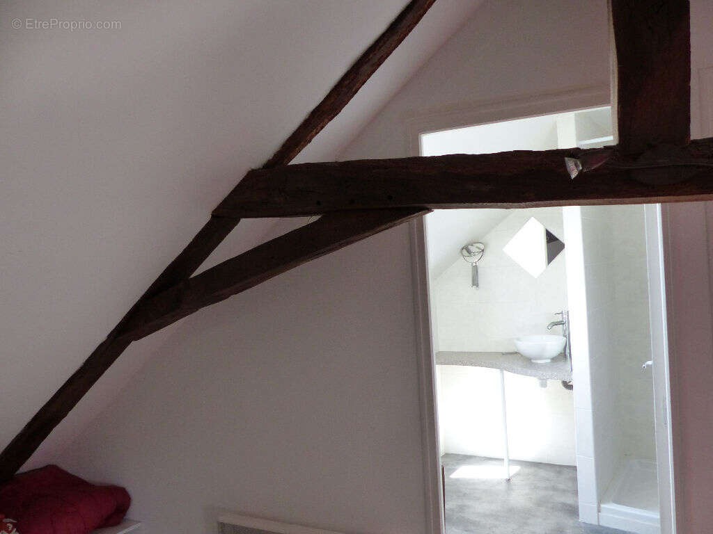 SAINT MARS LA JAILLE, spécial investisseur, maison + appartement, bon rapport locatif - photo 3