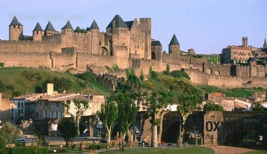 Commerce à CARCASSONNE