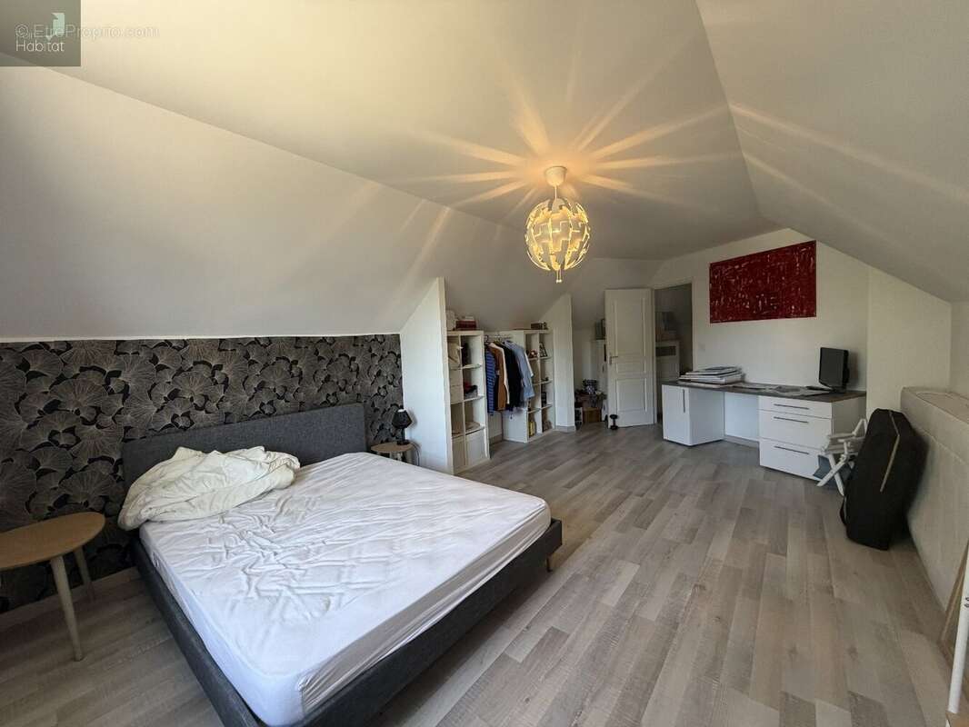 Maison T5 Rieupeyroux 3000m2 de terrain - photo 4